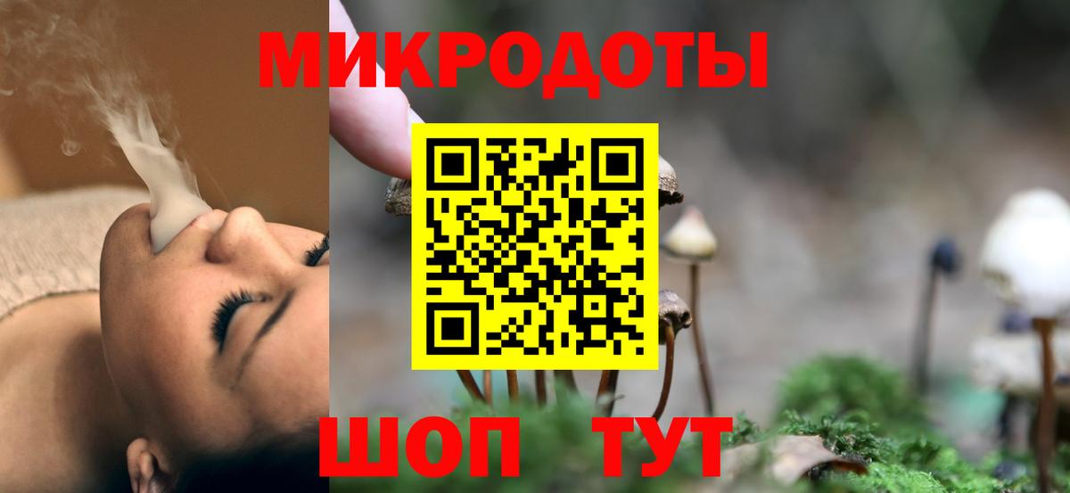 Верхняя Пышма  Псилоцибиновые грибы Psilocybine cubensis  Вход с VPN 